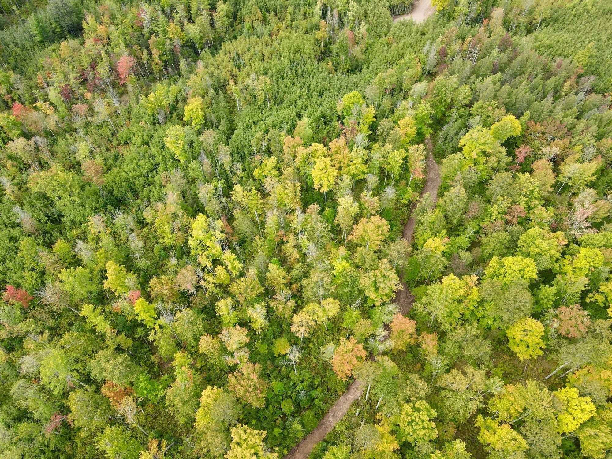 Lot 3 Grundy Road Irma, WI 54442 - Photo 1 of 1 Gallery Image 1