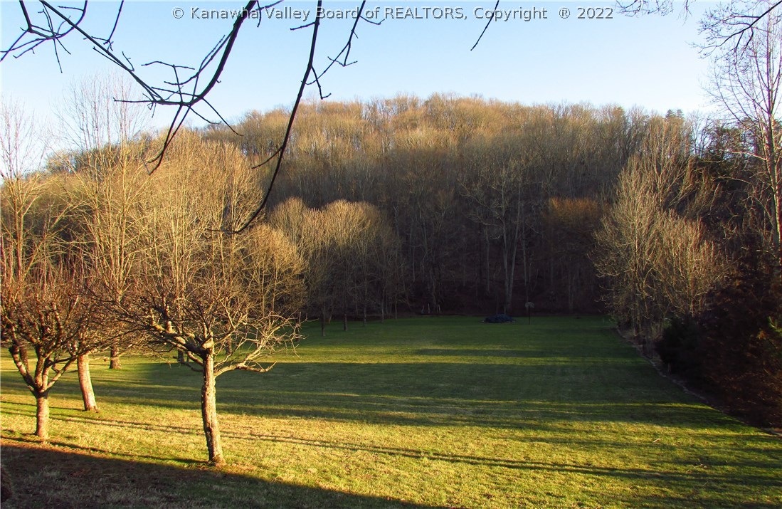 1672 Scott Depot Road Scott Depot, WV 25560 - Photo 2 of 23 Level Back Yard