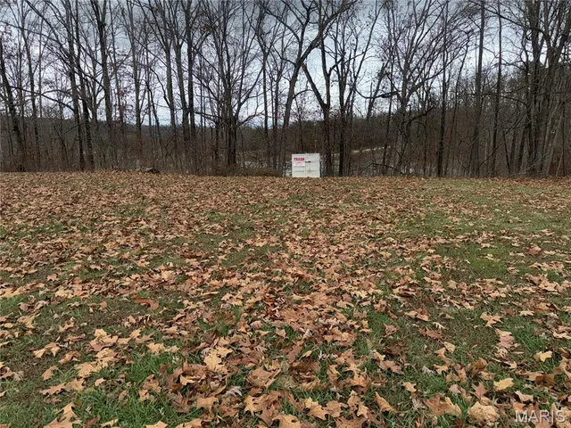 $329,000 | 50131 Highway 49, Annapolis, MO 63620