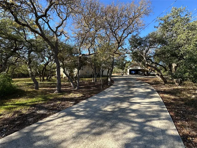 a view of yard with trees