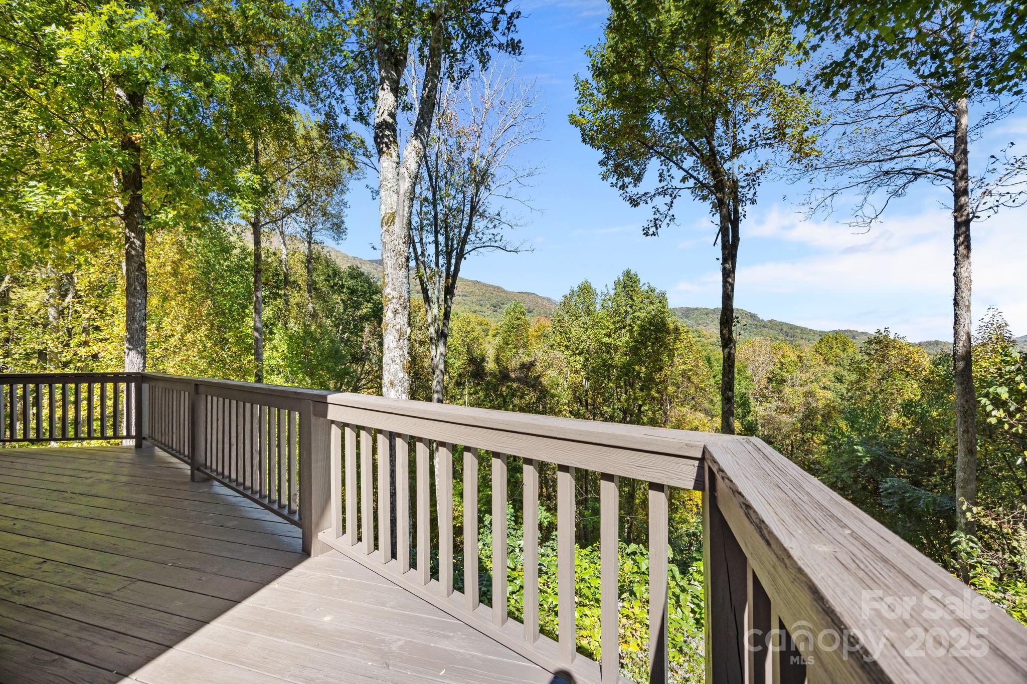 69 Blowing Ridge Lane Sylva, NC 28779 - Photo 45 of 48
