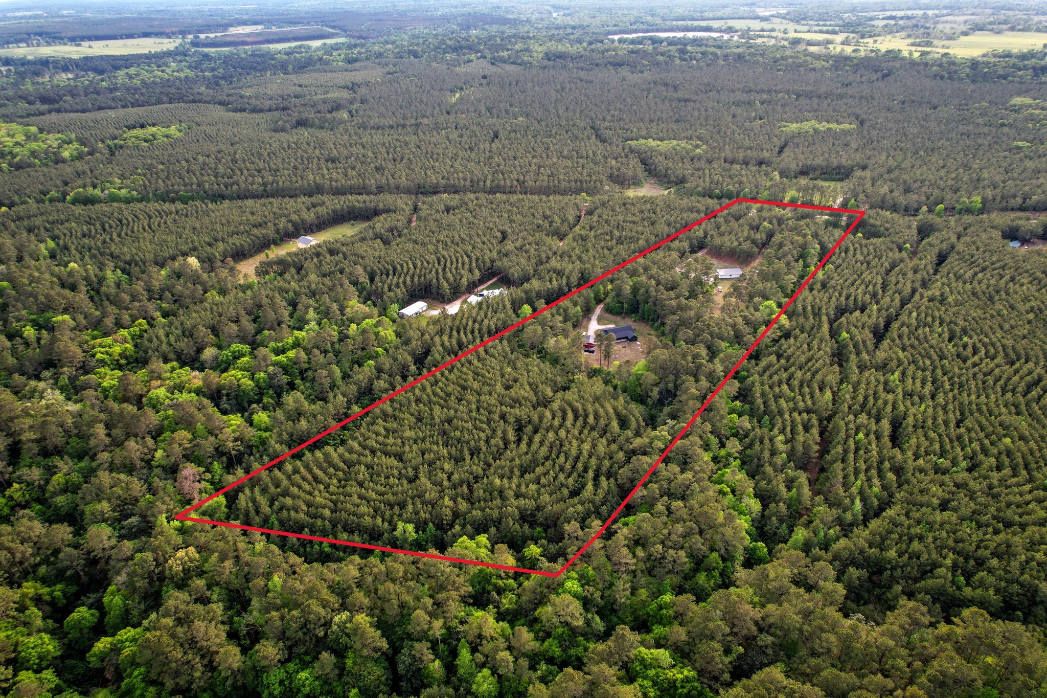 625-635 Gibson Road Livingston, TX 77351 - Photo 47 of 48 Beautiful location where you can imagine living a life you have dreamed of.