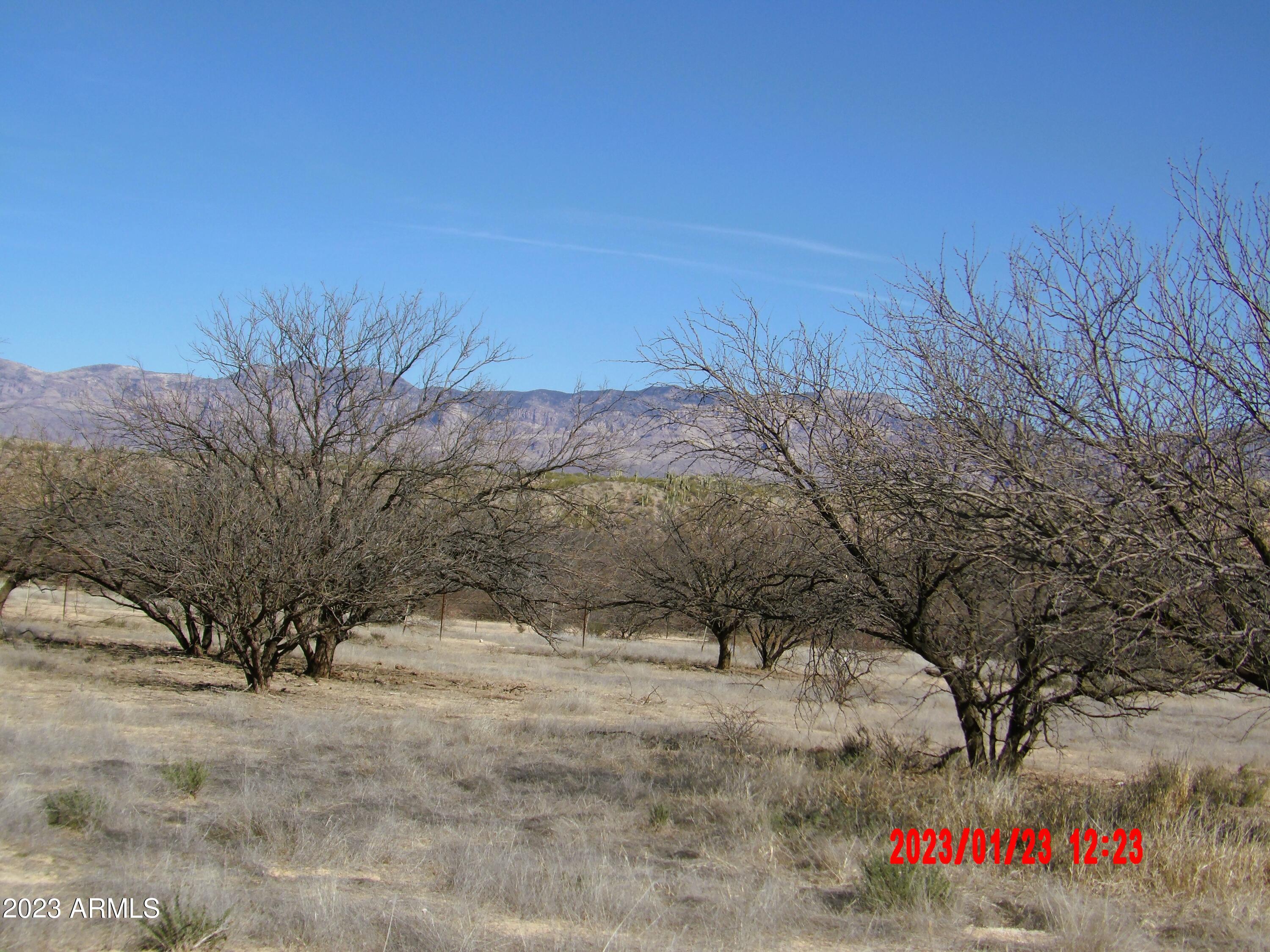 16160 Redington Road, Unit NULL Benson, AZ 85602 - Photo 22 of 25 100_0472