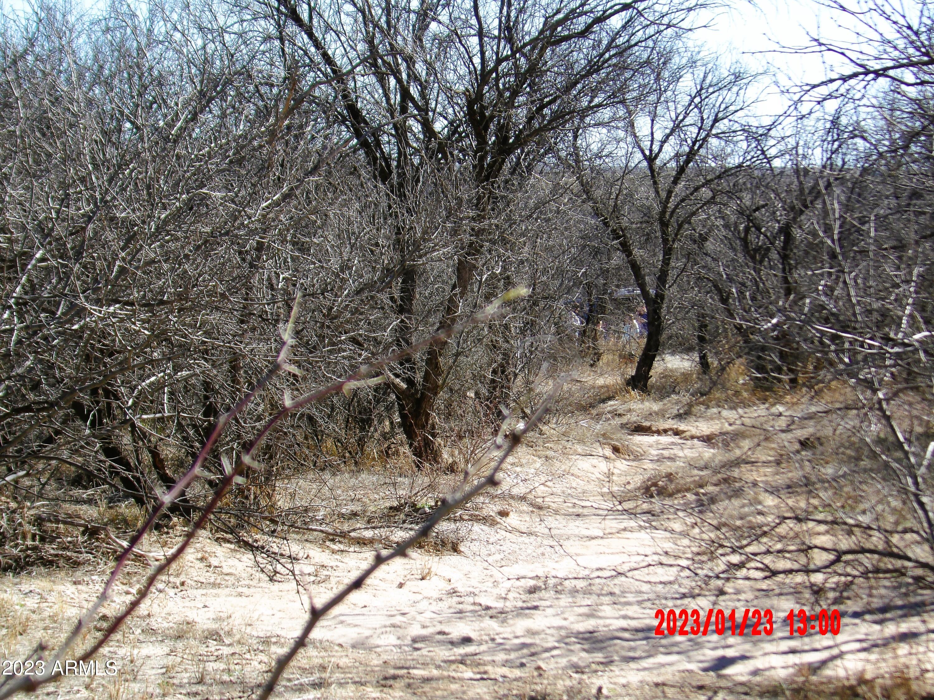 trail to building site
