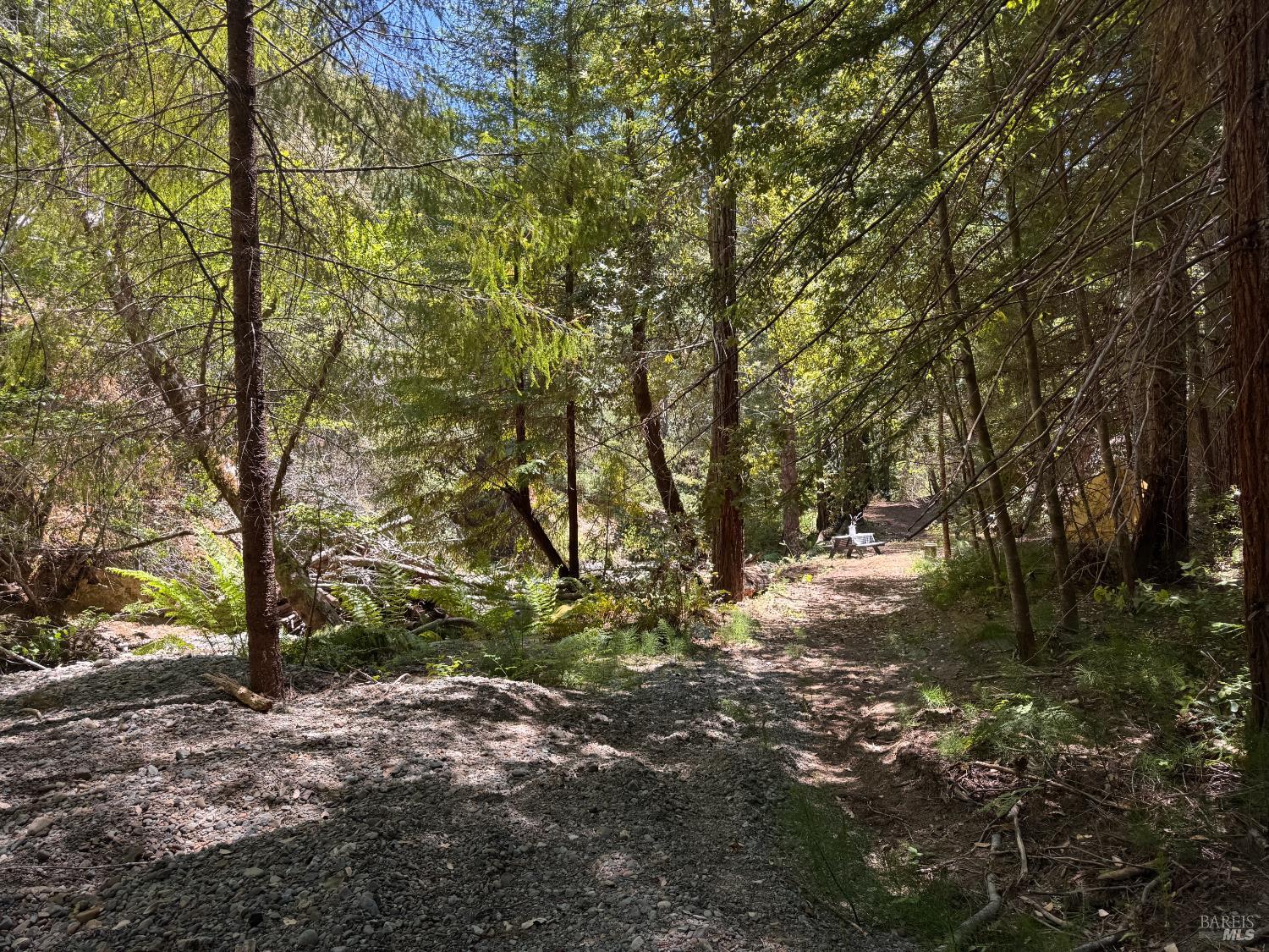 21530 Fort Ross Road Cazadero, CA 95421 - Photo 7 of 56