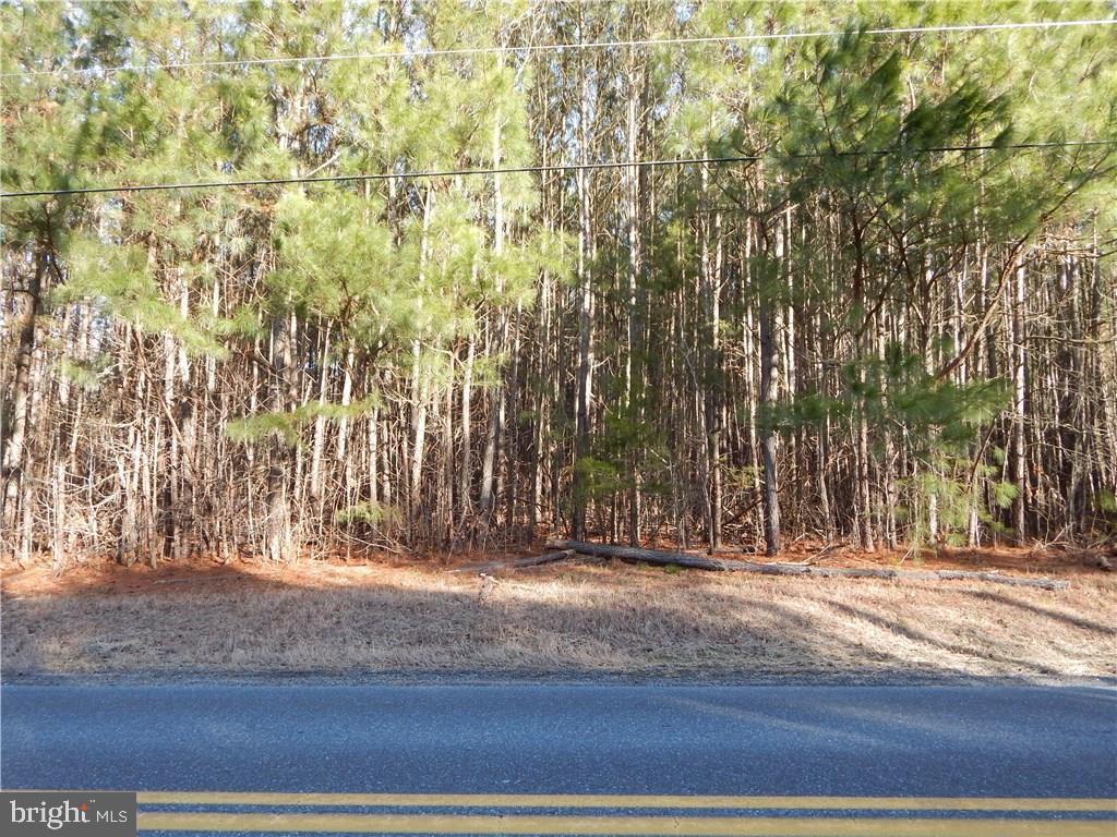 Conley Chapel Road Lewes, DE 19958 - Photo 1 of 1 Gallery Image 1