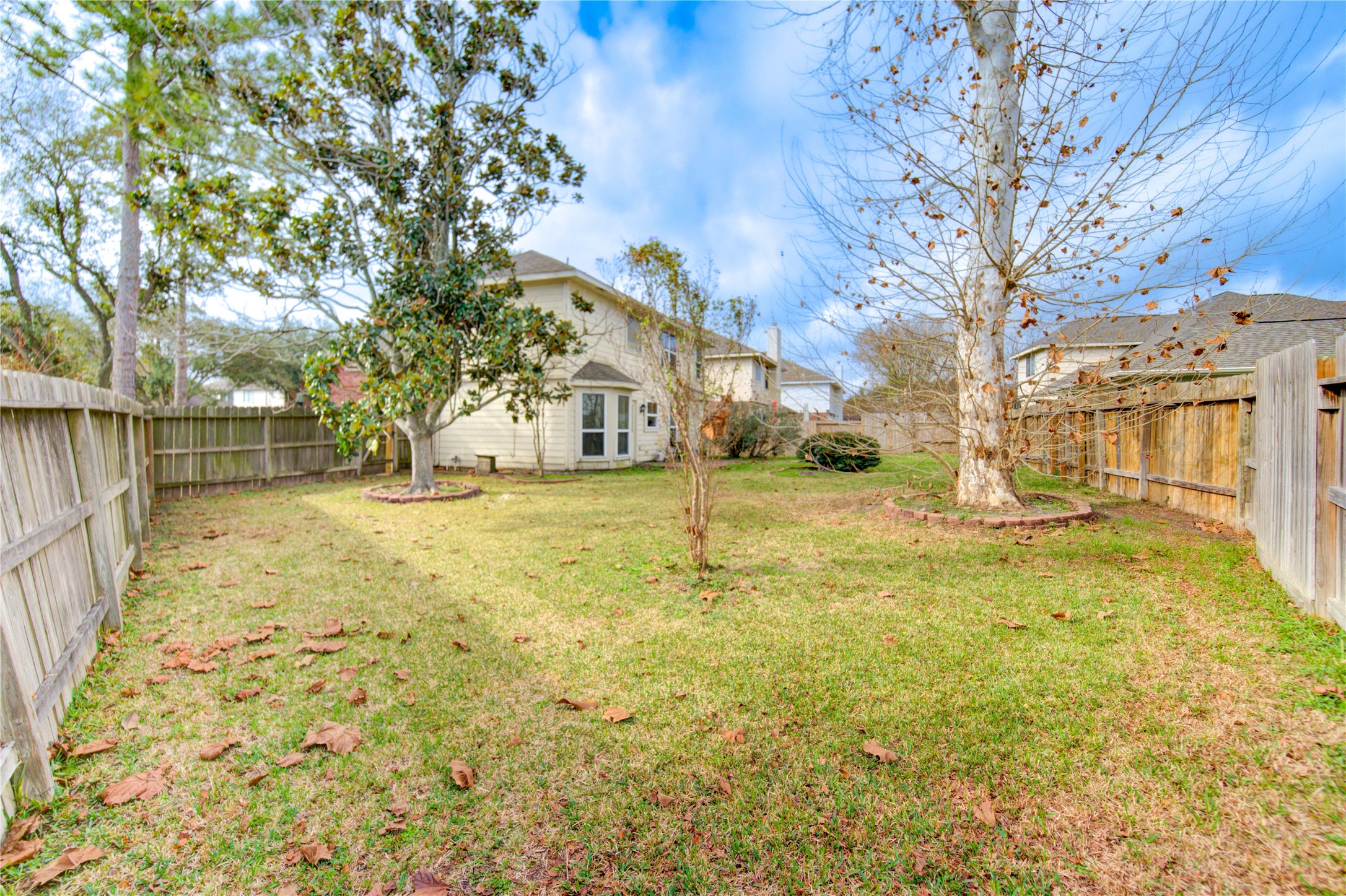 14902 Englebrook Drive Houston, TX 77095 - Photo 49 of 50 a view of yard with large trees