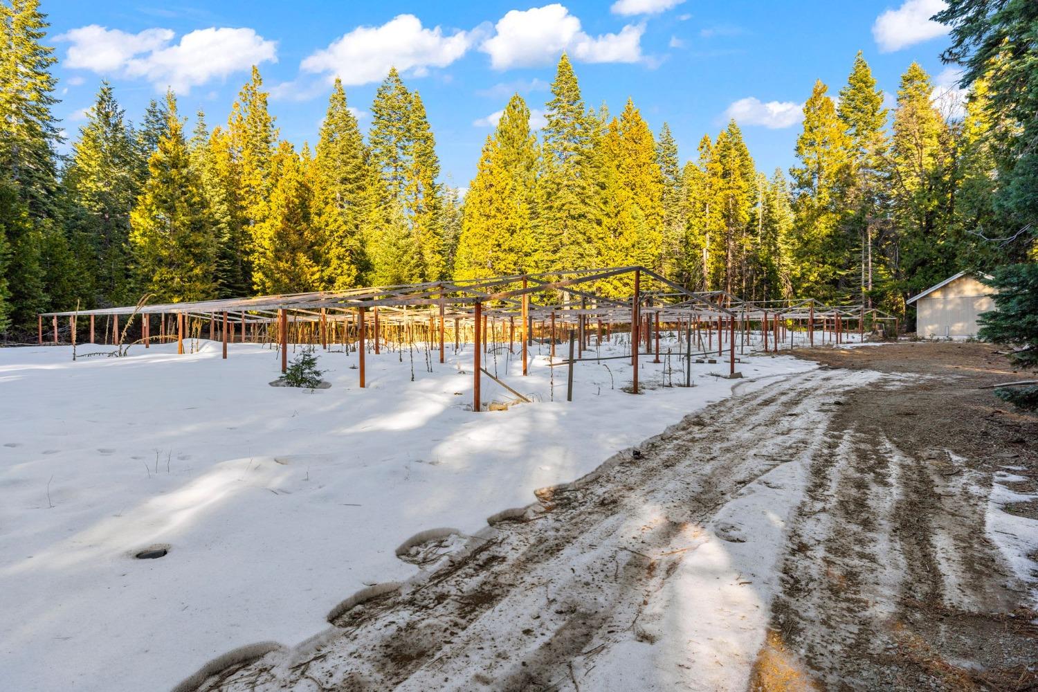 16277 Ophir Silver Road Nevada City, CA 95959 - Photo 18 of 51 a view of outdoor space with trees