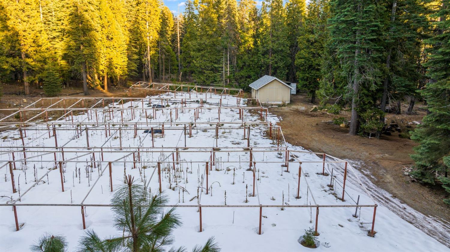 16277 Ophir Silver Road Nevada City, CA 95959 - Photo 22 of 51 a picture of a yard