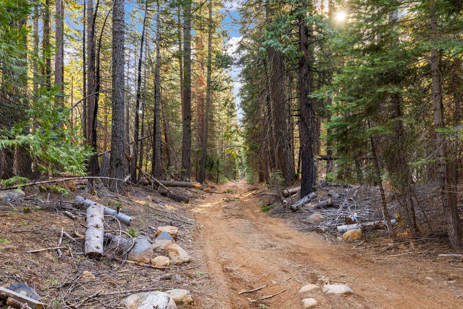16277 Ophir Silver Road Nevada City, CA 95959 - Photo 40 of 51 a view of a backyard with trees