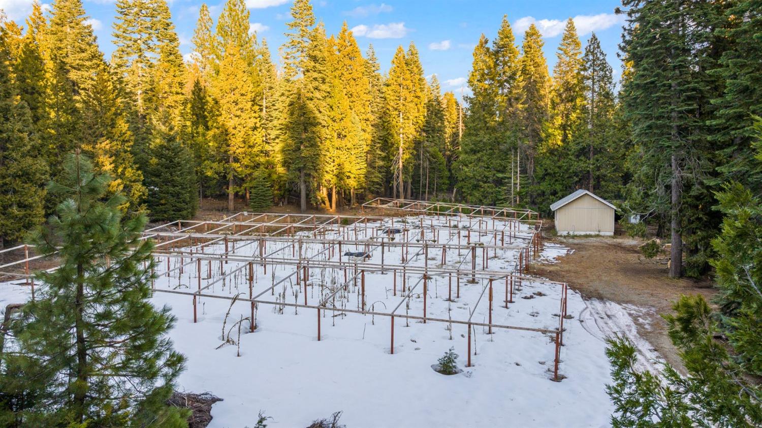 16277 Ophir Silver Road Nevada City, CA 95959 - Photo 4 of 51 a view of outdoor space and yard