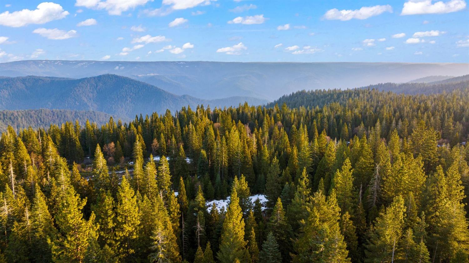 16277 Ophir Silver Road Nevada City, CA 95959 - Photo 42 of 51 a view of a street