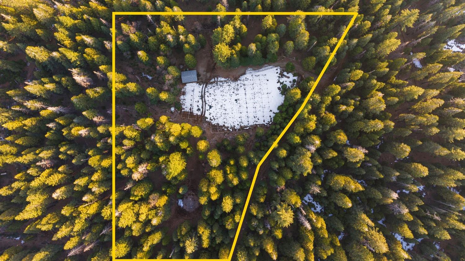 16277 Ophir Silver Road Nevada City, CA 95959 - Photo 46 of 51 a view of plant