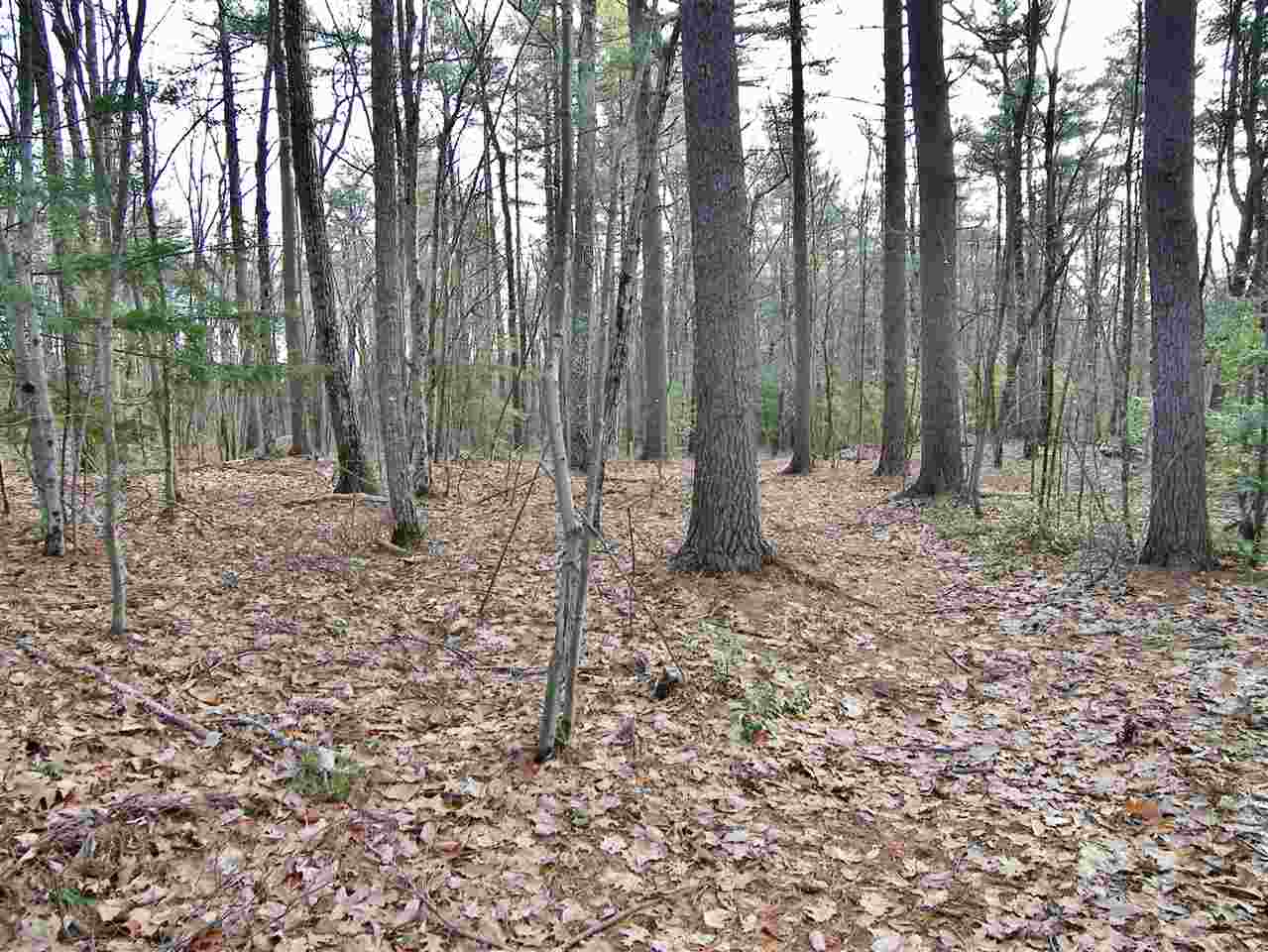 Lot 0 Federal Hill Road, Unit 29422/3 Hollis, NH 03049 - Photo 3 of 7 Gallery Image 3