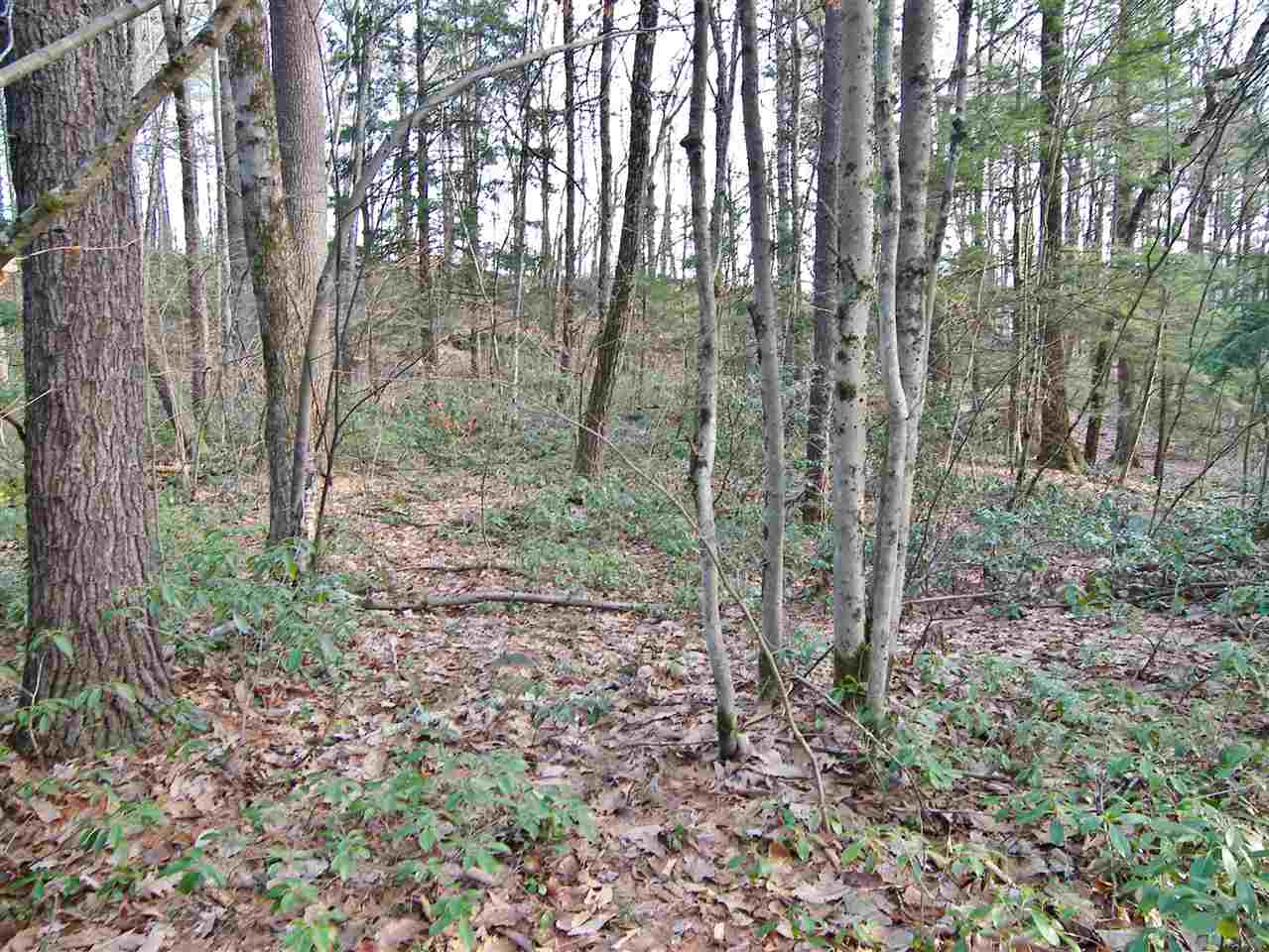 Lot 0 Federal Hill Road, Unit 29422/3 Hollis, NH 03049 - Photo 4 of 7 Gallery Image 4