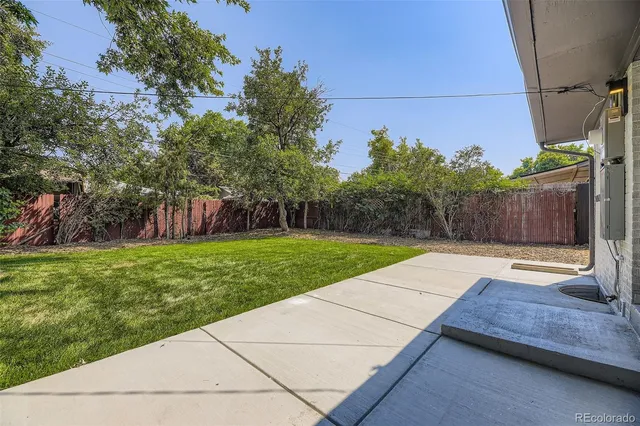 a view of backyard with trampoline
