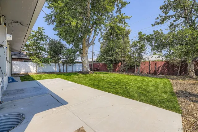 a view of a yard with a tree