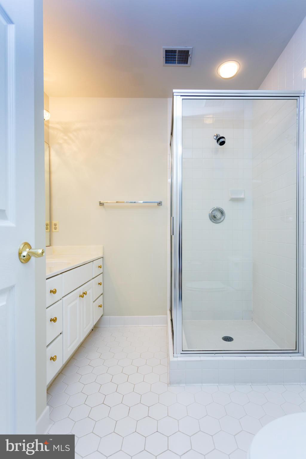 10120 Lawyers Road Vienna, VA 22181 - Photo 25 of 30 Bath