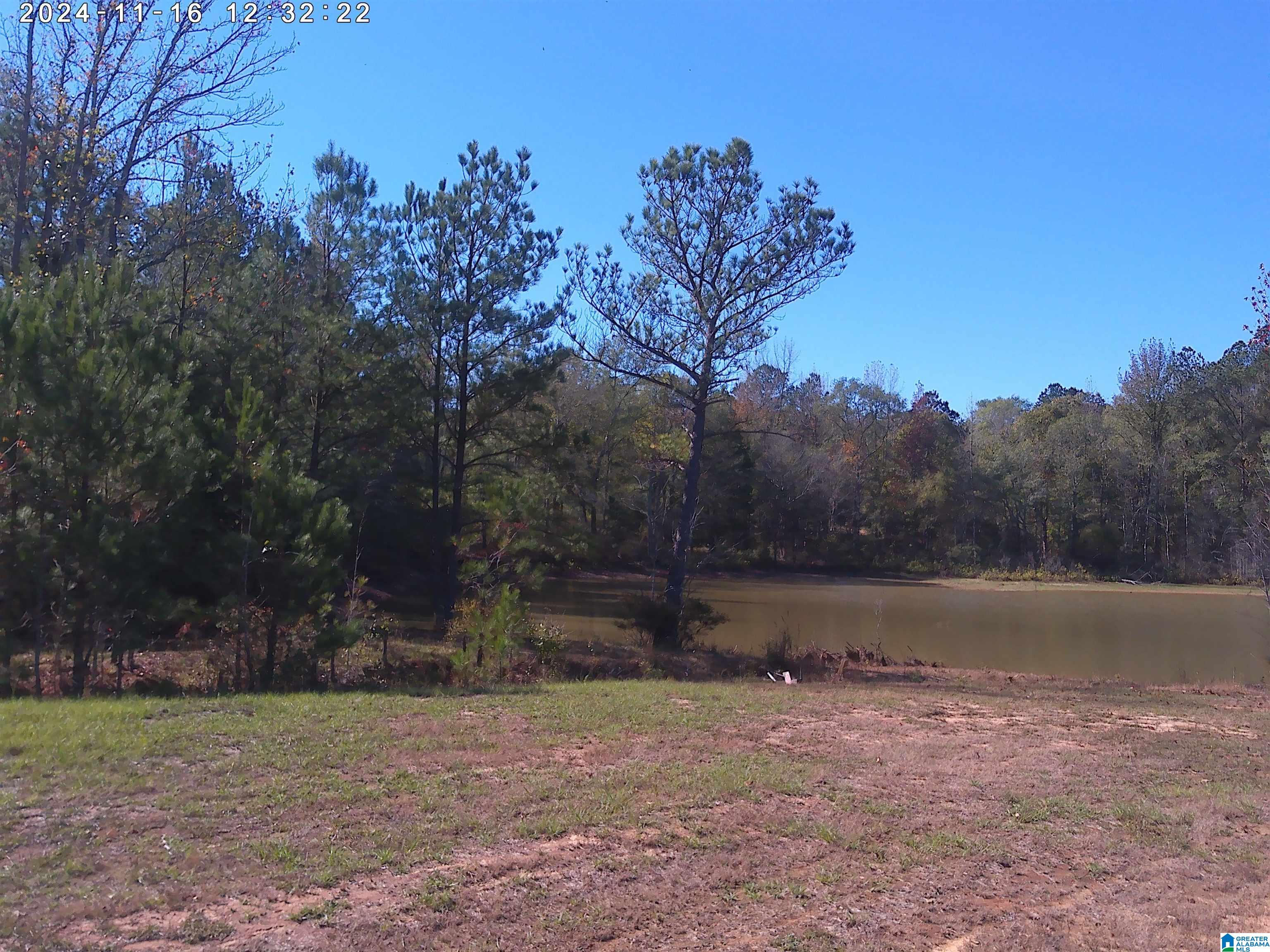 1897 Mount Pleasant Road, Unit 11 LOTS Millport, AL 35576 - Photo 6 of 8