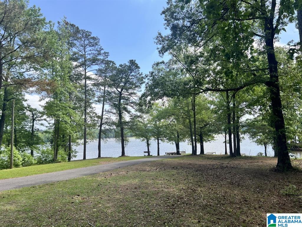 359 Arrowhead Drive Riverside, AL 35135 - Photo 8 of 38