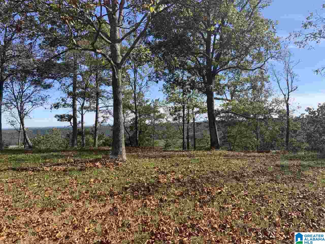 525 Overlook Road Boaz, AL 35956 - Photo 16 of 21