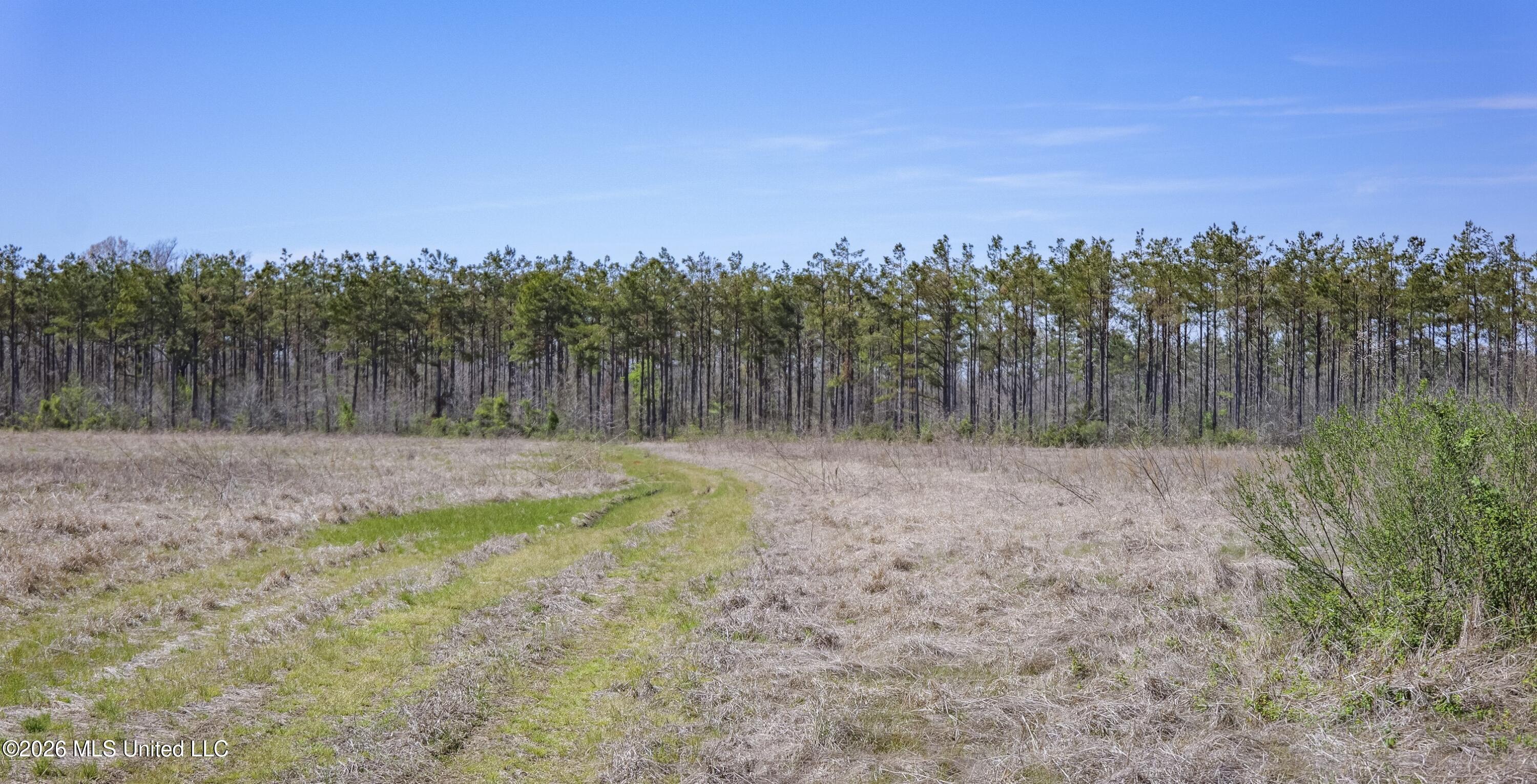 Wise Bend Road Thaxton, MS 38871 - Photo 20 of 22 3