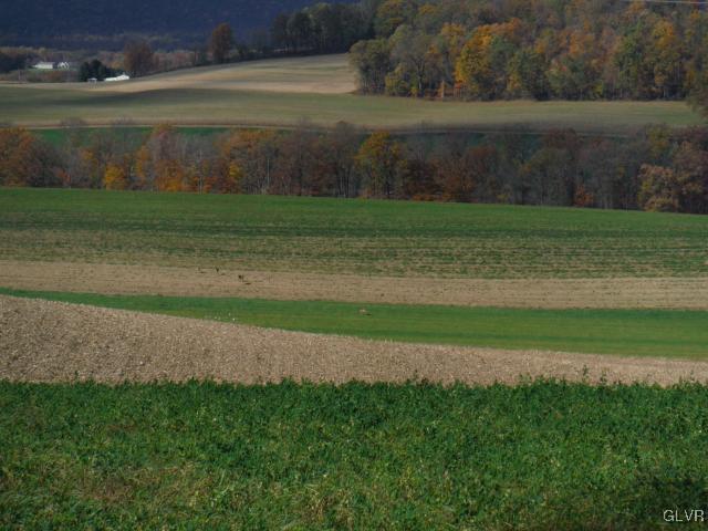 5021 Irvin Road Slatington, PA 18080 - Photo 11 of 44 Gallery Image 11