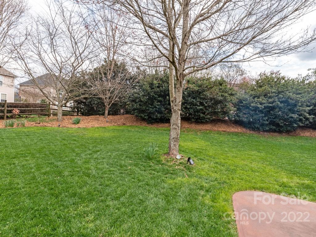 8603 Dansington Court Waxhaw, NC 28173 - Photo 37 of 45 a view of a park with large trees