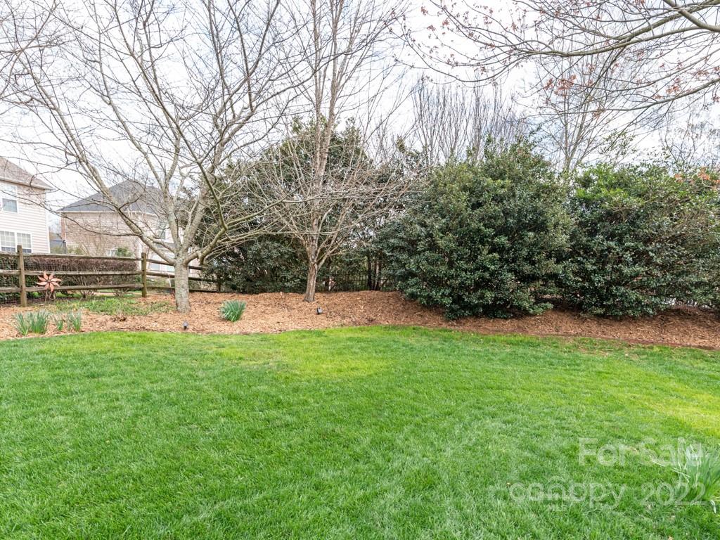 8603 Dansington Court Waxhaw, NC 28173 - Photo 43 of 45 a view of backyard with green space
