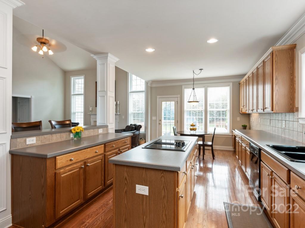 8603 Dansington Court Waxhaw, NC 28173 - Photo 10 of 45 a kitchen with lots of counter top space a sink appliances and living room view