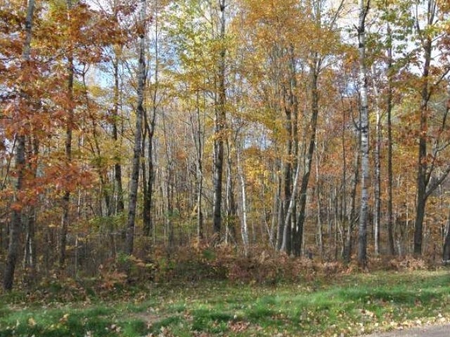 Lot 2 Sutton Road Minocqua, WI 54548 - Photo 4 of 5 Gallery Image 4