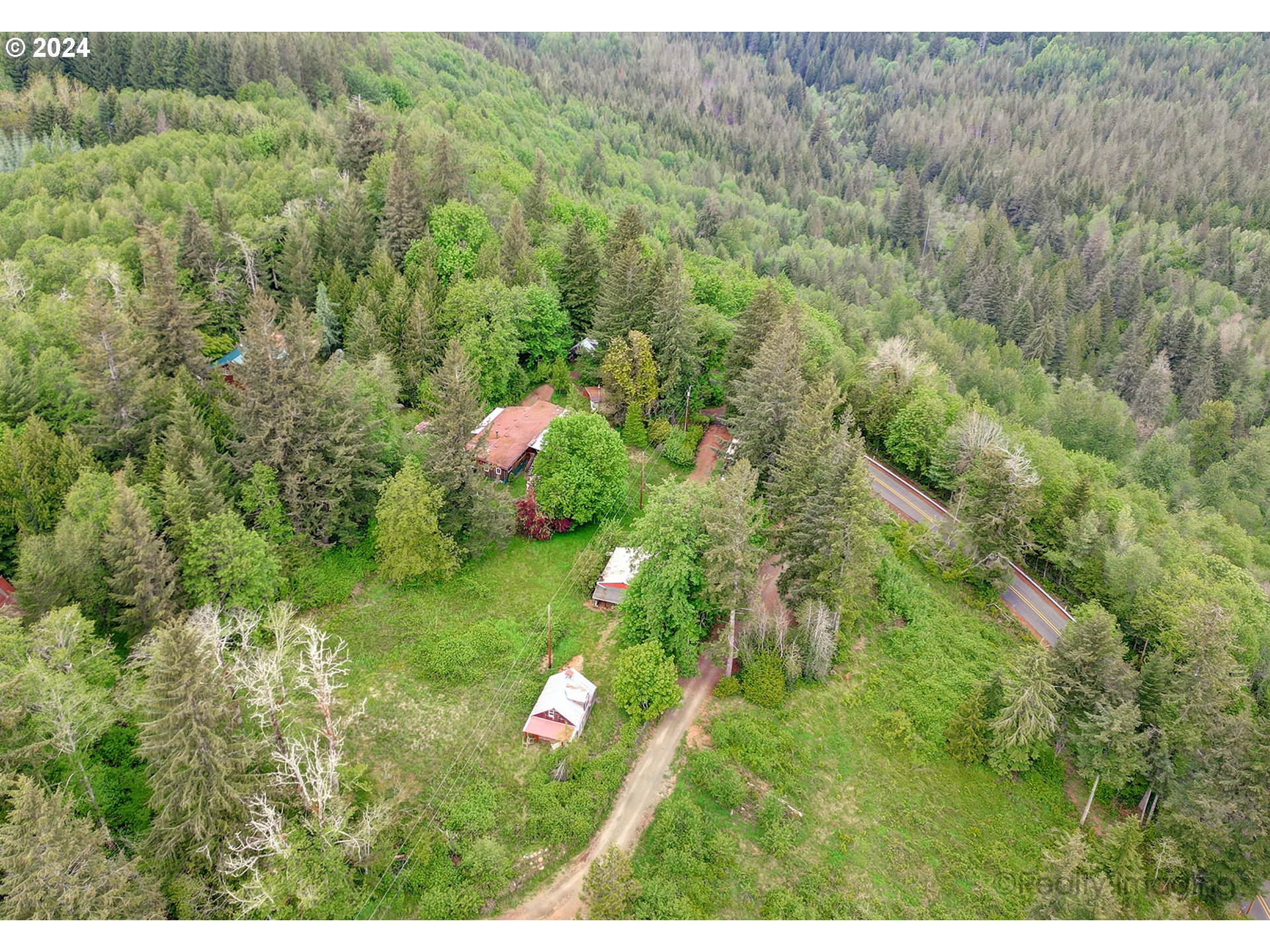 48886 Southeast Coalman Road Sandy, OR 97055 - Photo 15 of 16 a view of a white house with a yard and large trees
