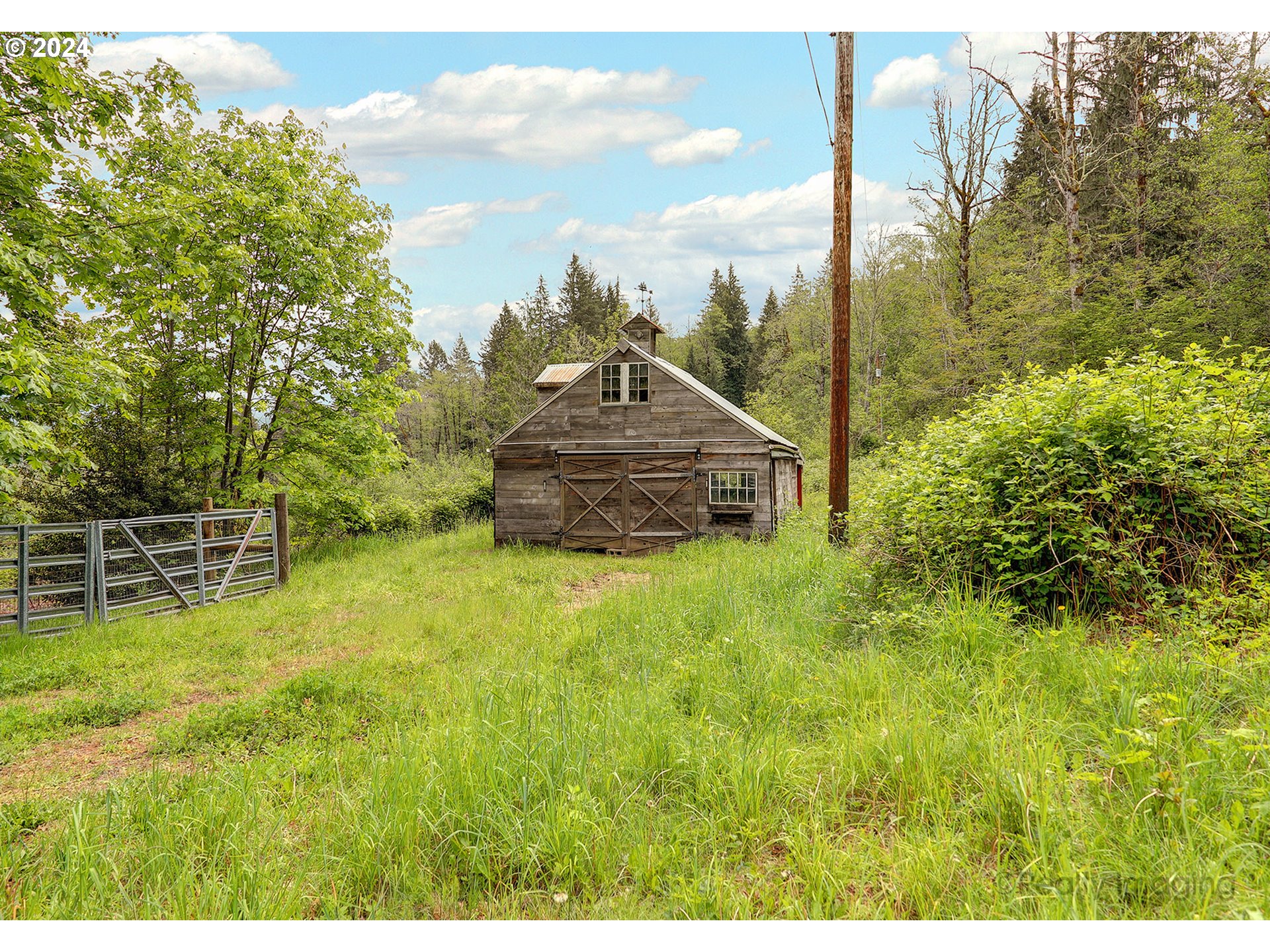 48886 Southeast Coalman Road Sandy, OR 97055 - Photo 10 of 16 a green field with lots of bushes