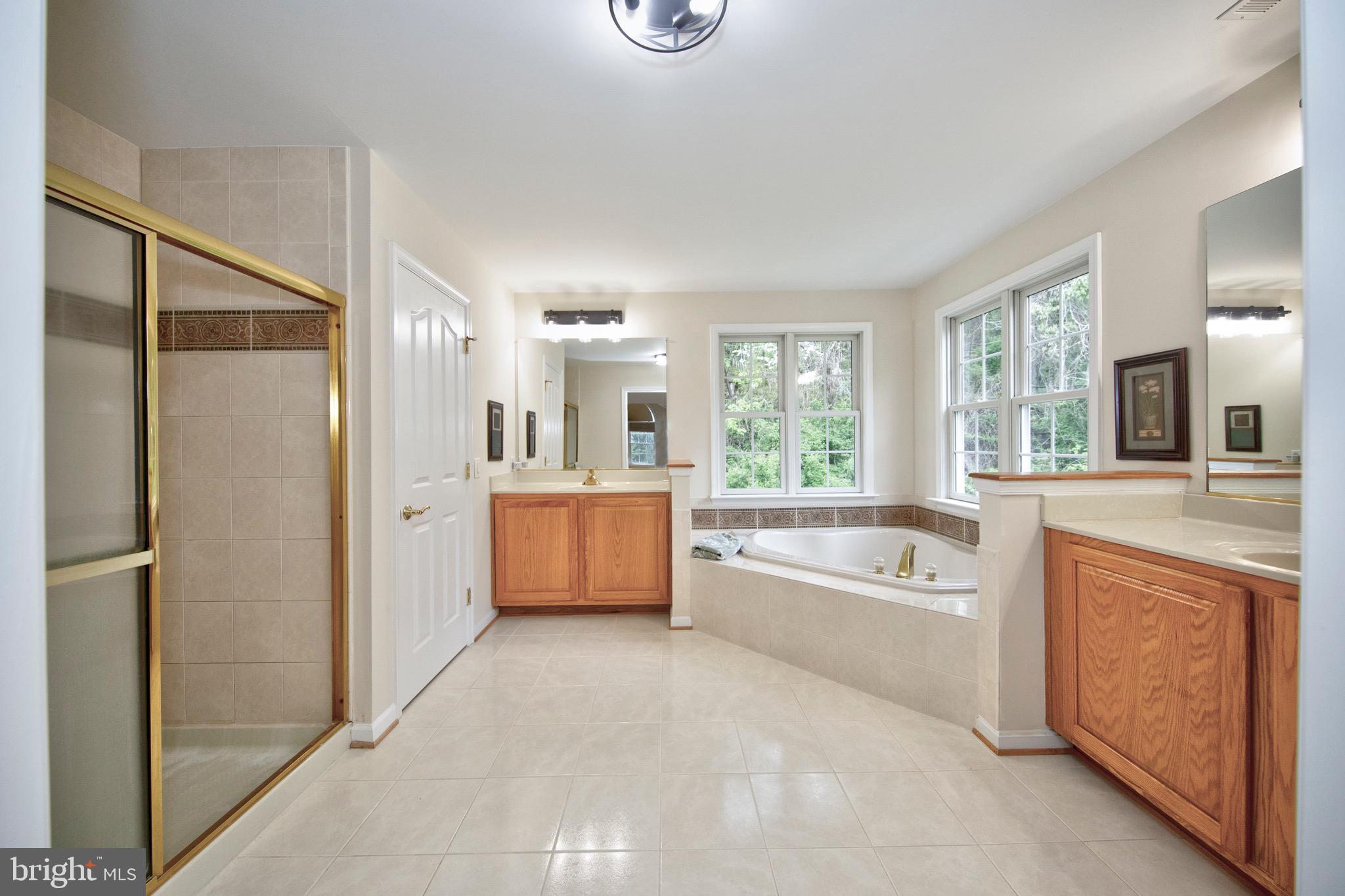 3610 Ady Road Street, MD 21154 - Photo 33 of 59 Primary bathroom