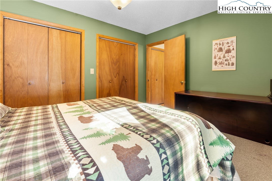 101 Doe Lane Beech Mountain, NC 28604 - Photo 19 of 31