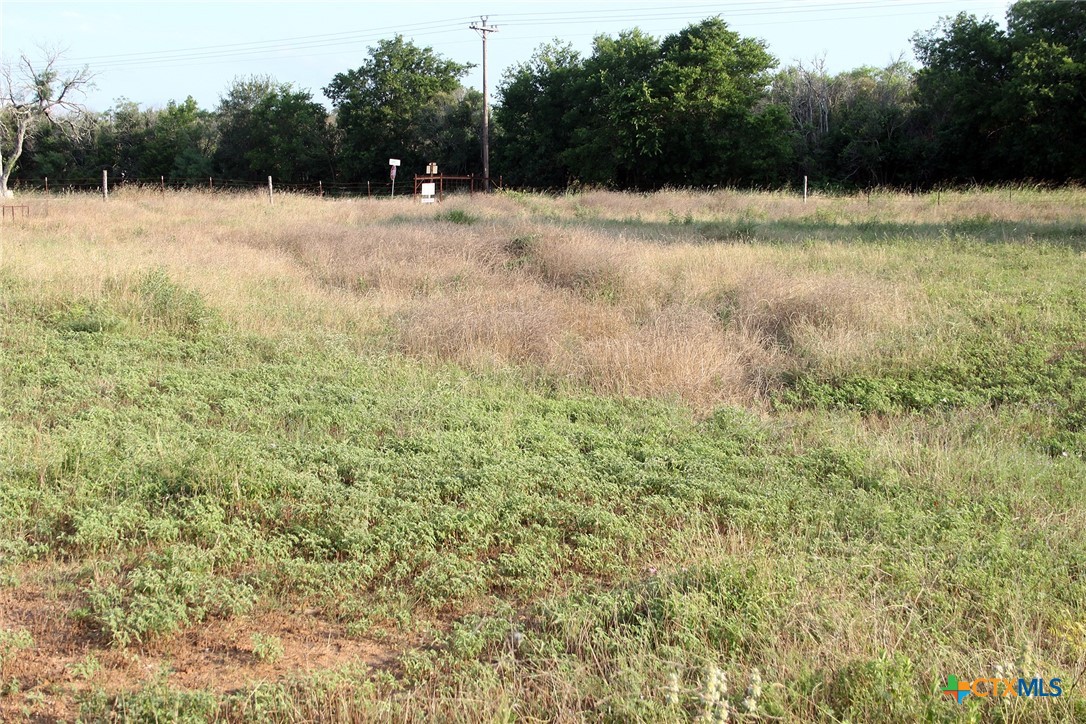 108 Sorrell Street Red Rock, TX 78662 - Photo 15 of 36 a view of yard with green space