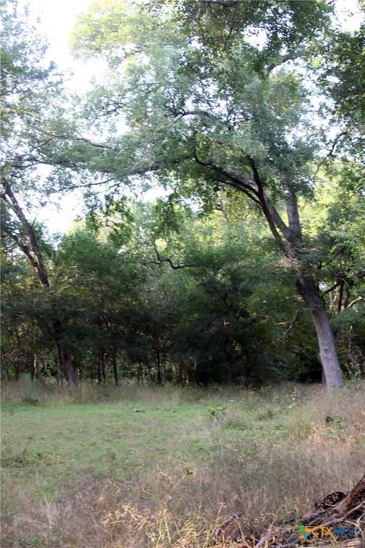 108 Sorrell Street Red Rock, TX 78662 - Photo 20 of 36 a view of outdoor space and yard