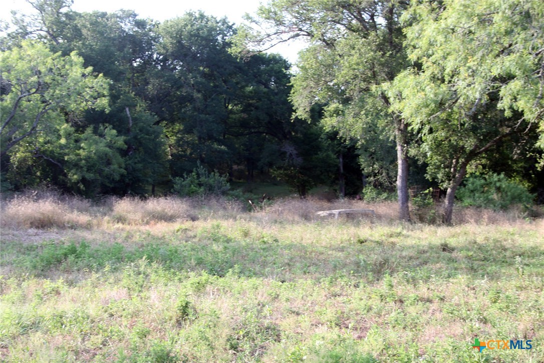 108 Sorrell Street Red Rock, TX 78662 - Photo 10 of 36 a view of a lake with a yard