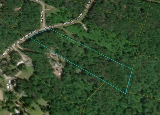 $64,900 | 312 Abigail Trail, Deer Lodge, TN 37726