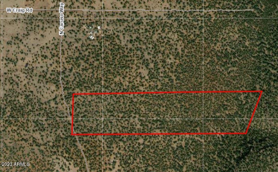 46-acres 46-acres Shadow Rock Ranch, Unit 1 Seligman, AZ 86337 - Photo 3 of 5 Satellite Map