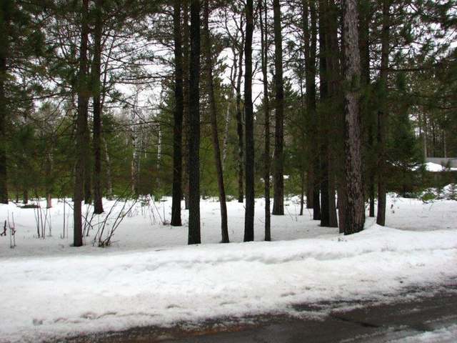 Lot 85 Timber Lane Rhinelander, WI 54501 - Photo 8 of 9 Gallery Image 8
