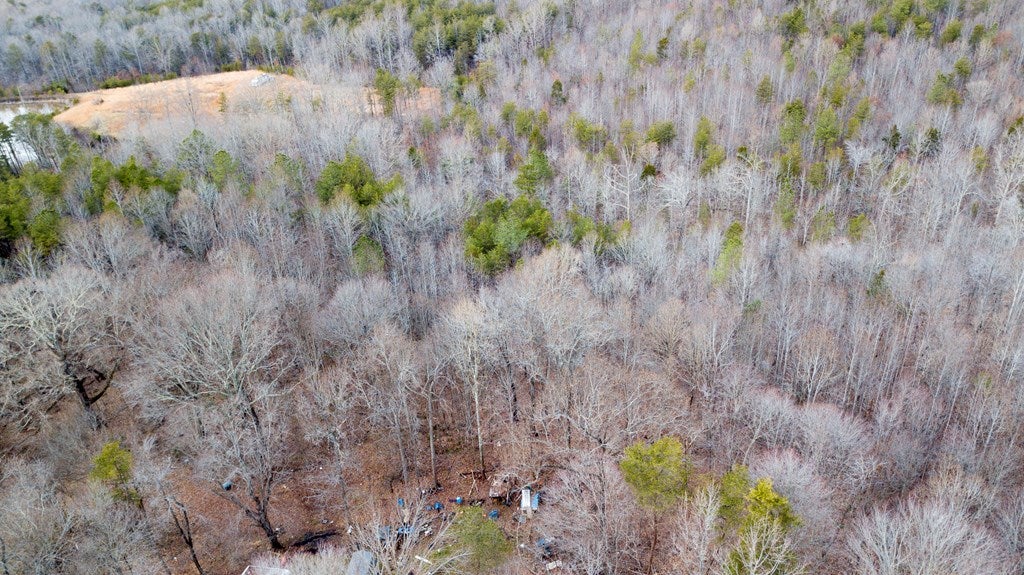 630 Meherrin Meherrin, VA 23954 - Photo 6 of 10 Gallery Image 6