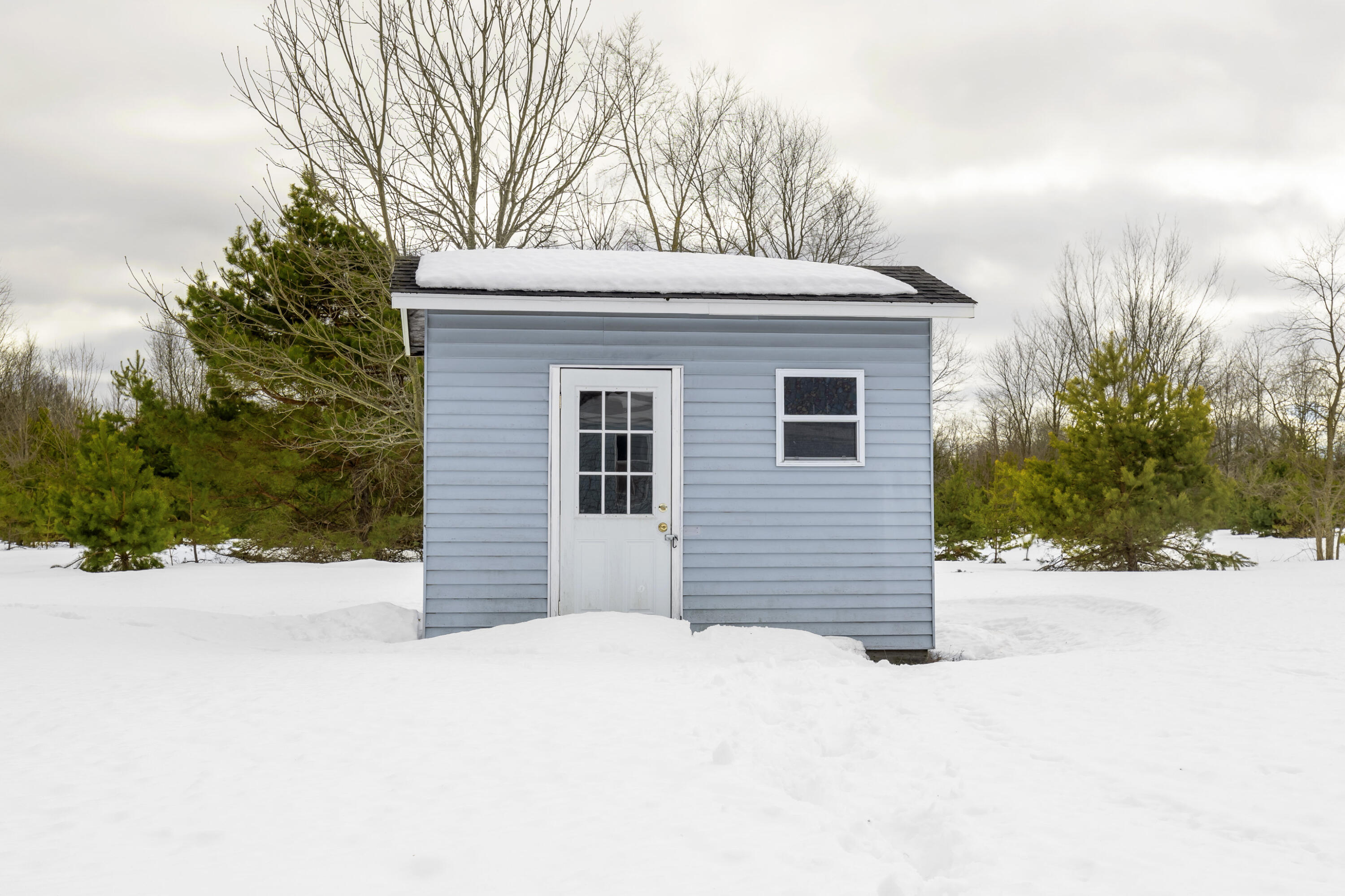 7695 Hoadley Road Benzonia, MI 49616 - Photo 22 of 25 0S5A1517