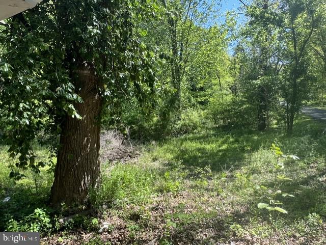 21410 Swope Road Boonsboro, MD 21713 - Photo 7 of 7 Parcel 2