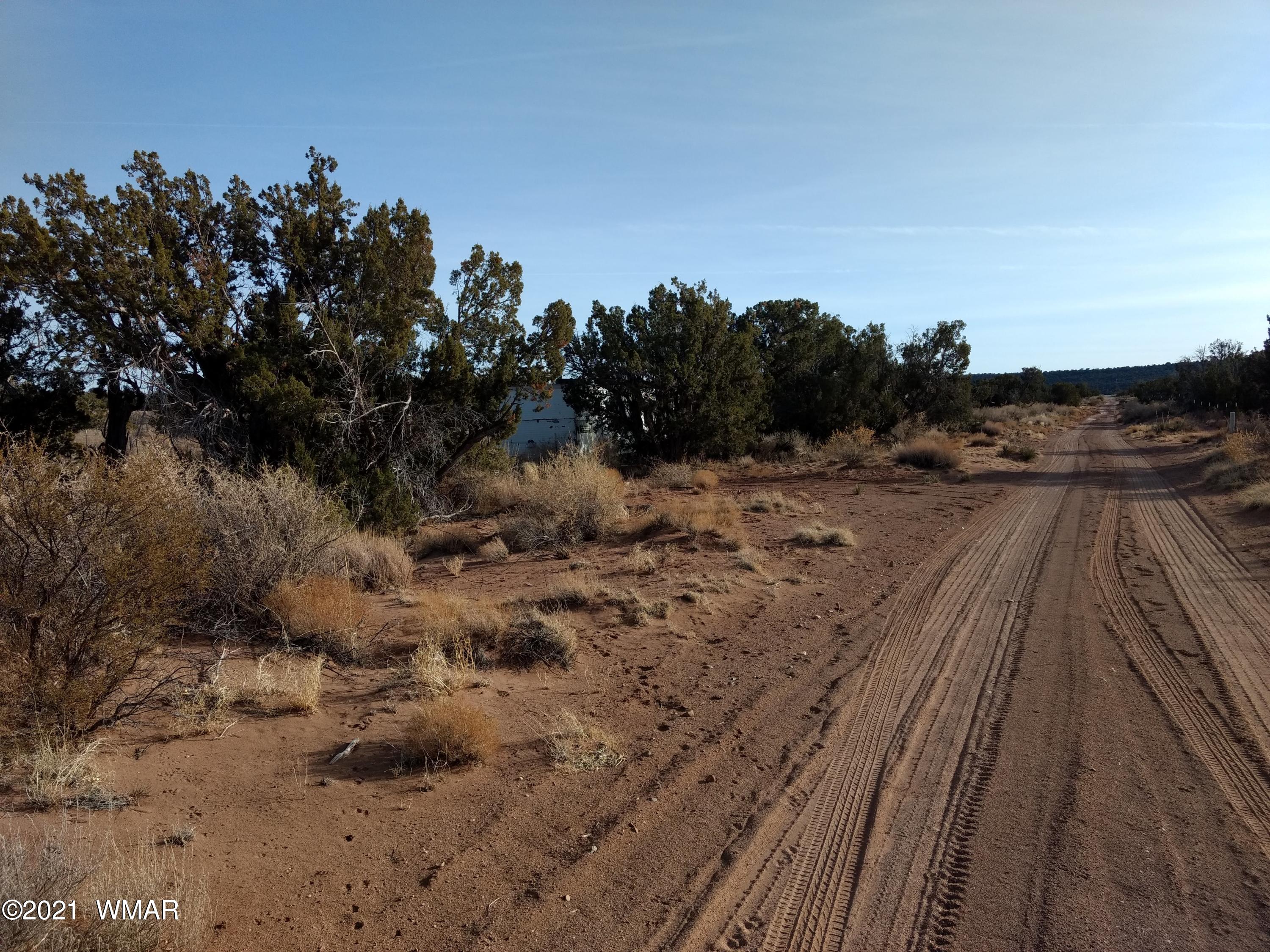 4151 Juniper Road Snowflake, AZ 85937 - Photo 2 of 38 a view of a backyard of a house