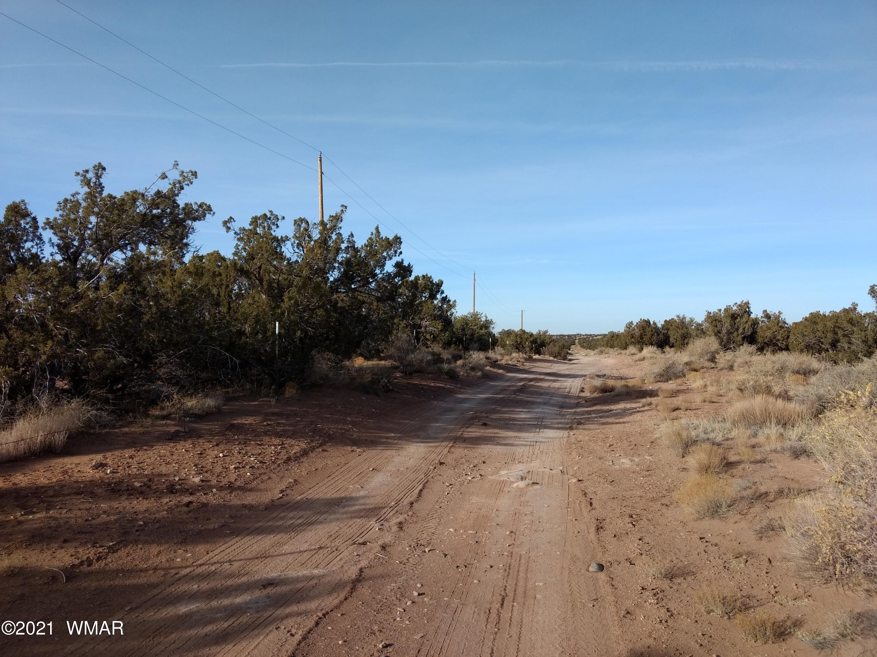 4151 Juniper Road Snowflake, AZ 85937 - Photo 3 of 38 a view of a yard