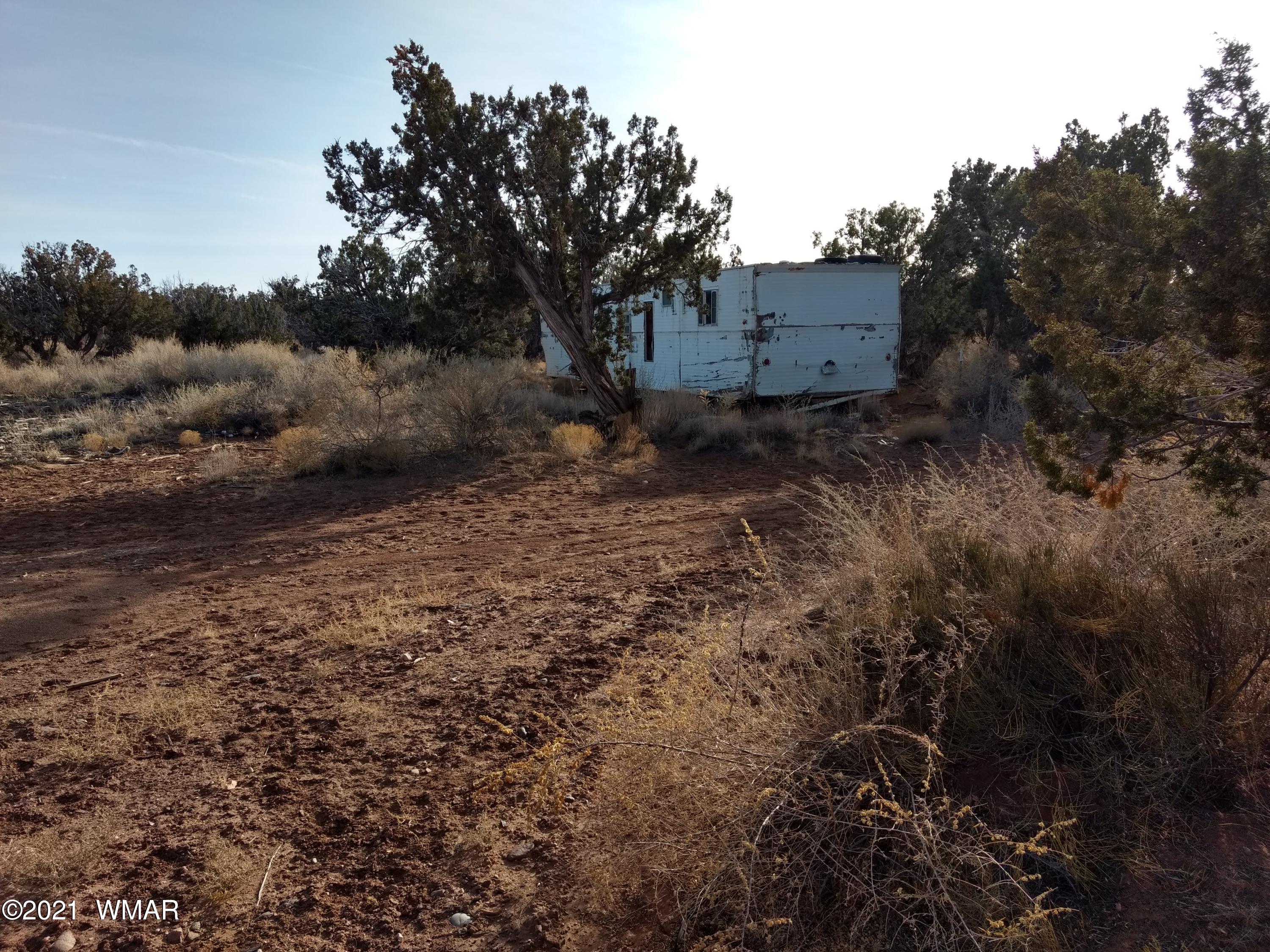 4151 Juniper Road Snowflake, AZ 85937 - Photo 4 of 38 a view of a dry yard with trees