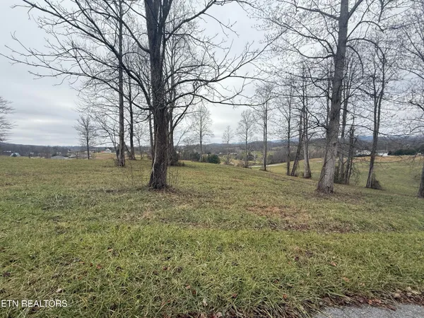 $25,000 | Lot #23 Oak Point Drive, Jonesville, VA 24263
