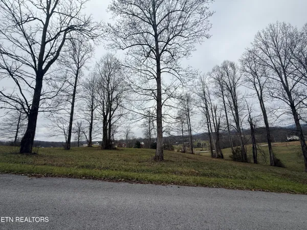 $25,000 | Lot #23 Oak Point Drive, Jonesville, VA 24263