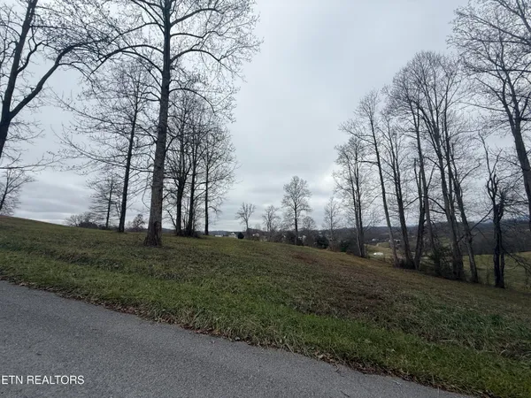 $25,000 | Lot #23 Oak Point Drive, Jonesville, VA 24263